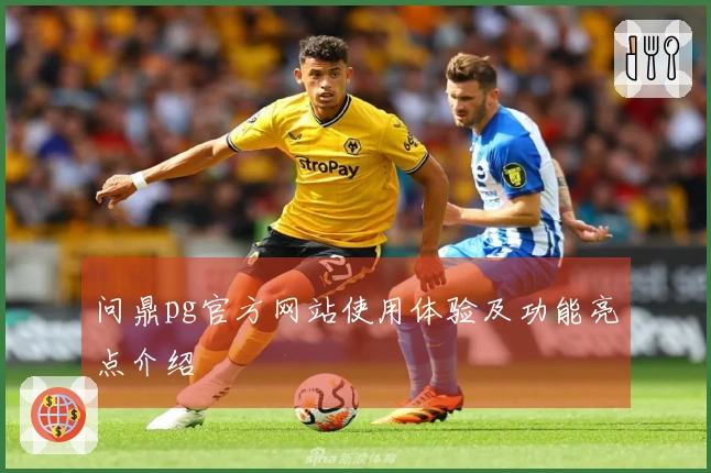 问鼎pg官方网站使用体验及功能亮点介绍