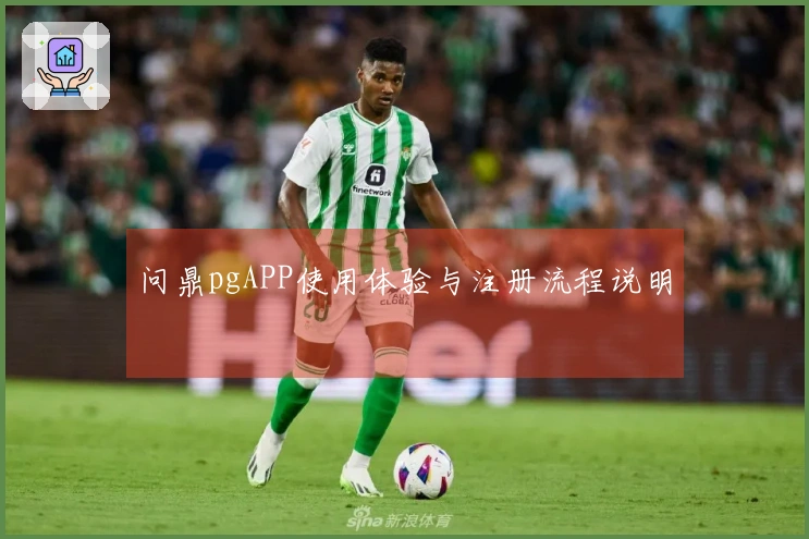 问鼎pgAPP使用体验与注册流程说明